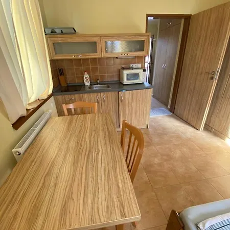 F - Svobodenka Apartment
