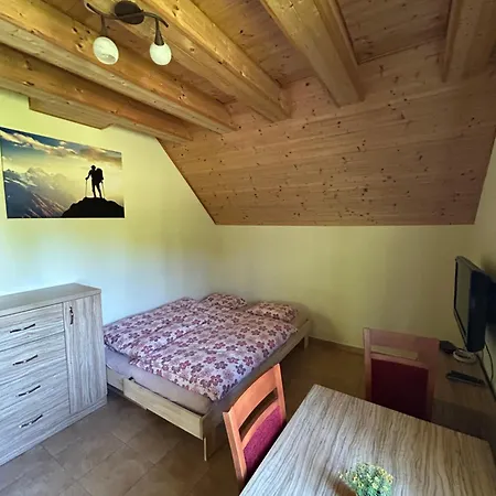 Apartment F - Svobodenka *